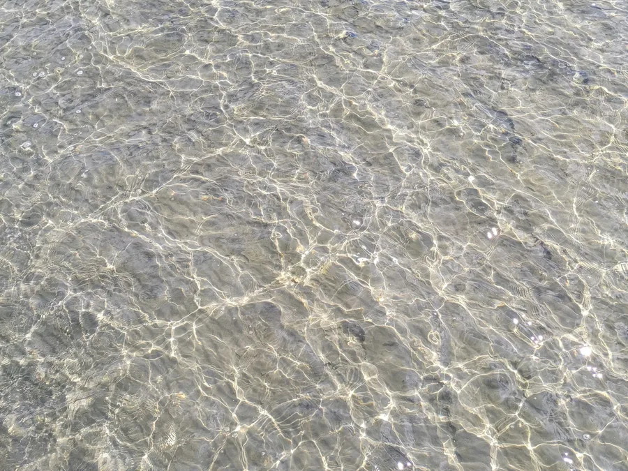 Klart vatten vid stranden på Dalarö i Haninge