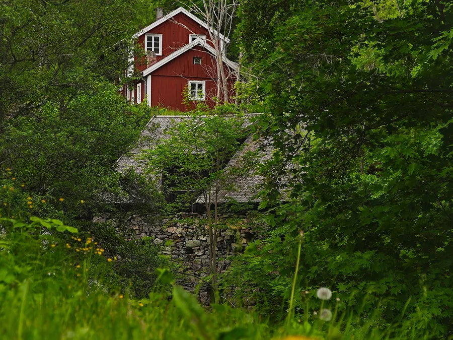 Rött hus i grönskande skog