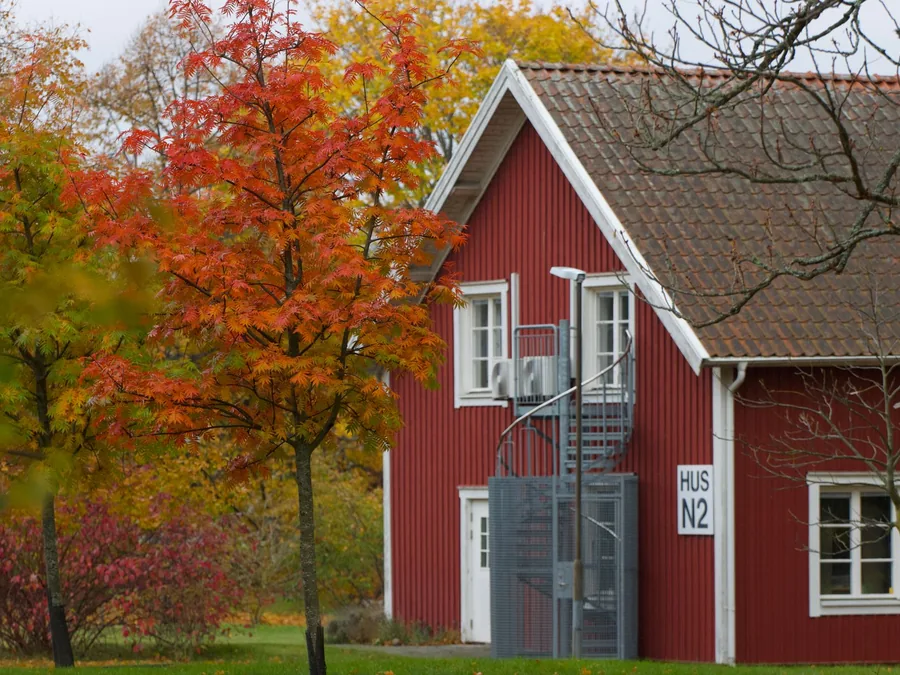 Rött hus omgivet av höstfärgade träd